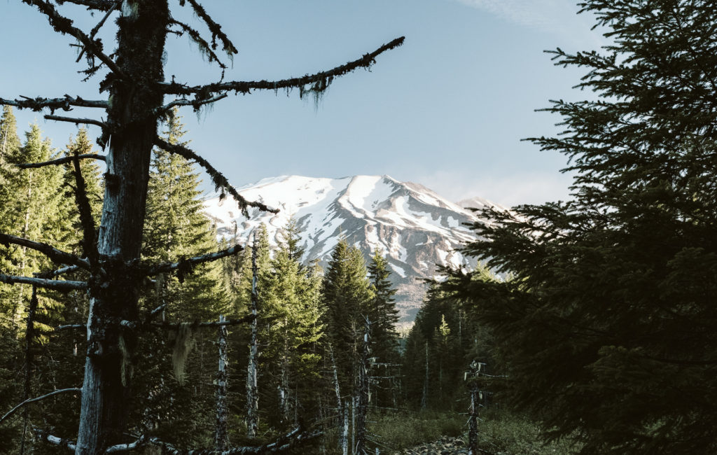 Mt St Helens