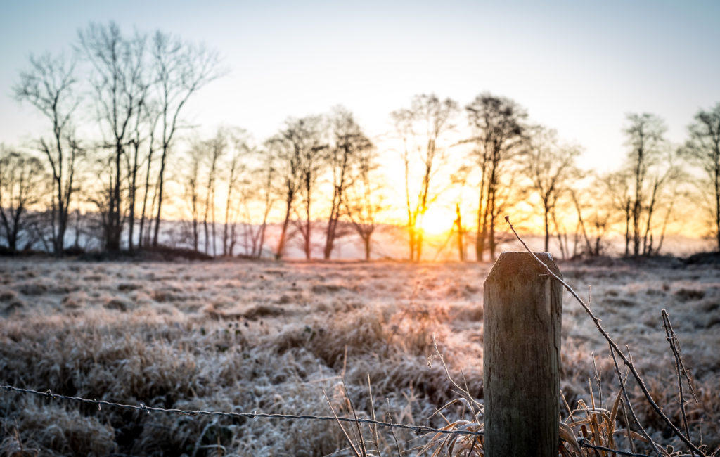 Frozen Sunrise