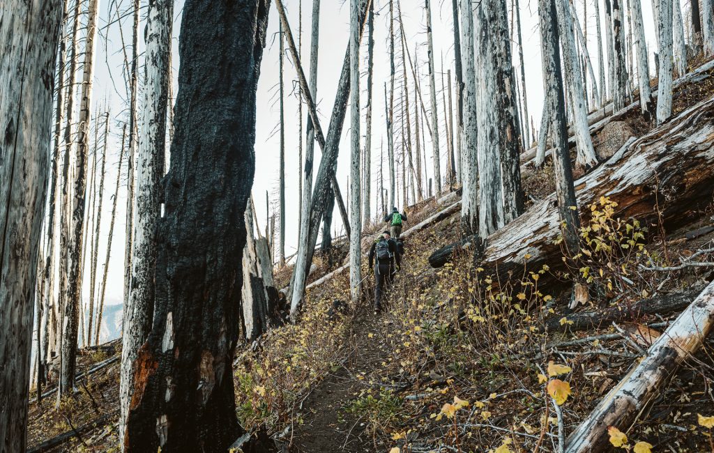 Hatchery Creek