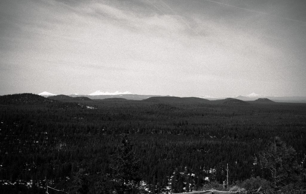 Spring Bend-er