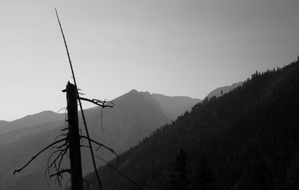 Icicle Ridge